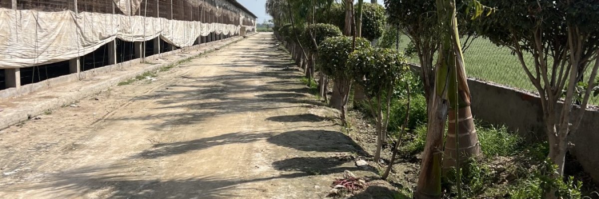 Safal Poultry farm