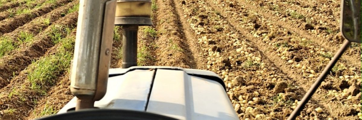 Sandilya Agricultures