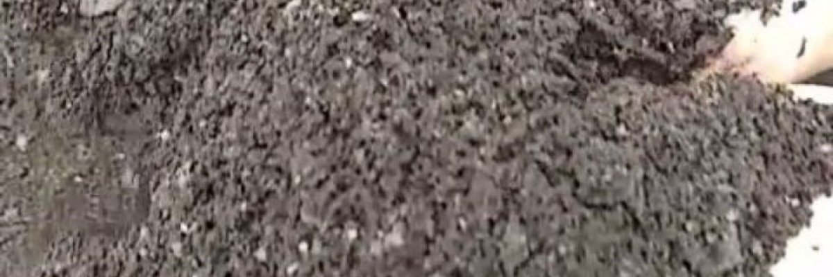 Lakhsmi T.G Composting