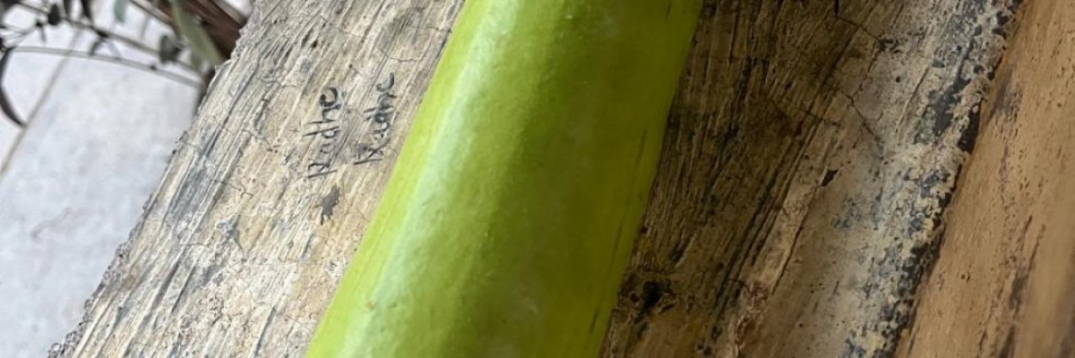 Krishnaganga agro supplier