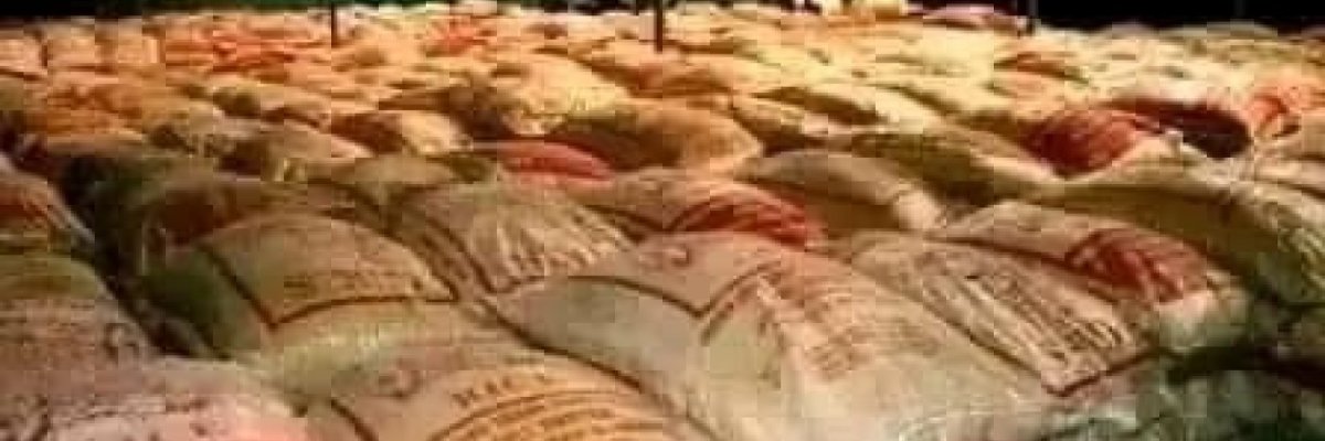 Evangelist grace omotayo