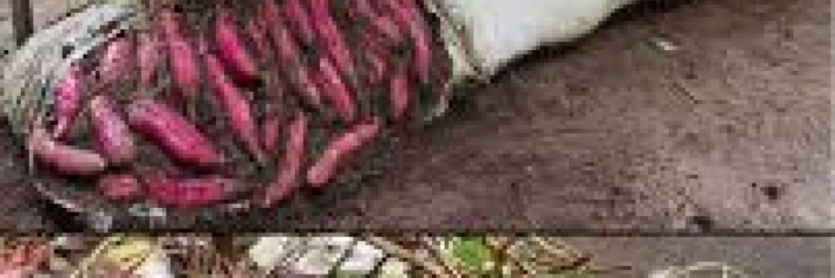 Royal Wealth Creations Agency