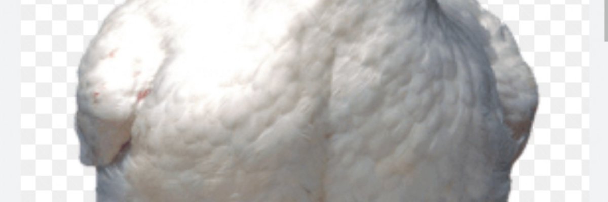 IBU produce supplies