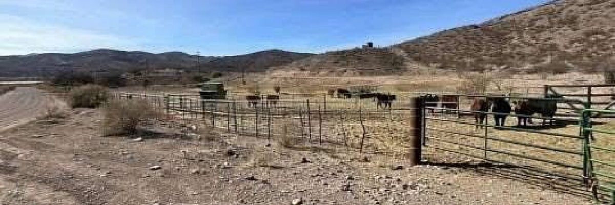 The Grand Canyon Farm LLC