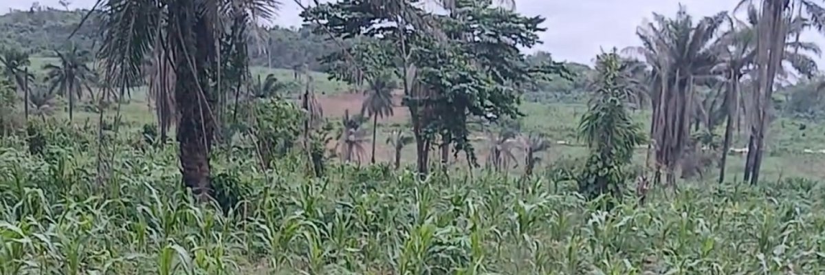 MO AGRONOMY VENTURES