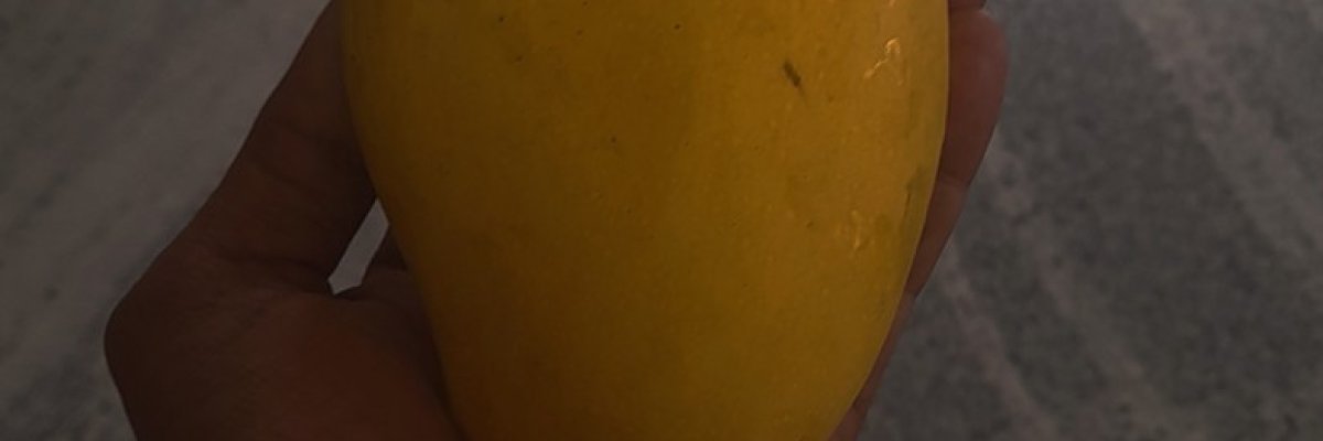 Siva kumar mango gardens