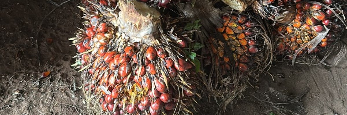 EMEB AGRO FARM NIG LTD