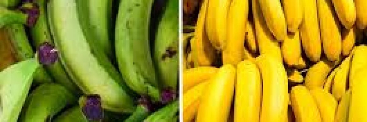 GAITUNG REALESTATE MANAGERS