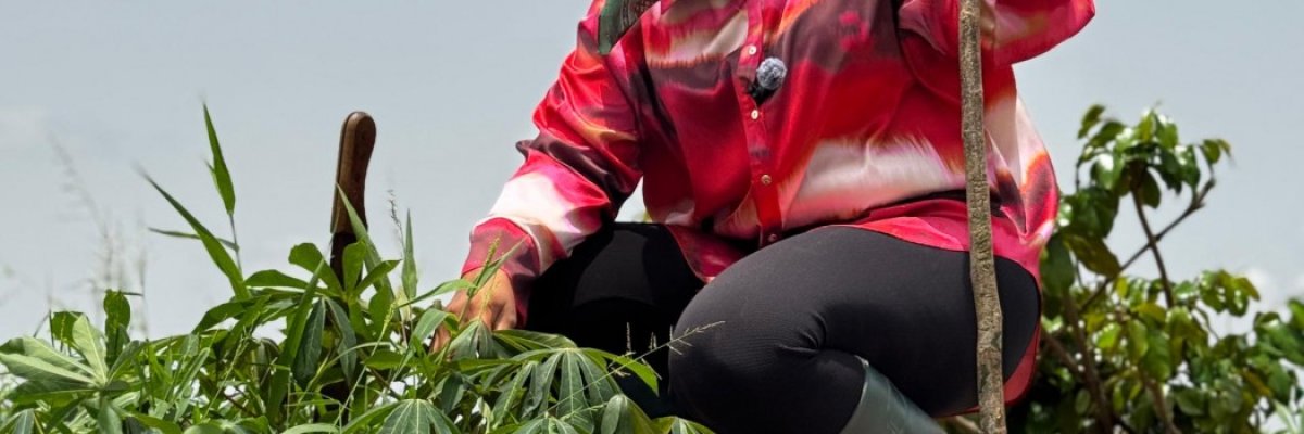 Cimas general merchandise Ltd