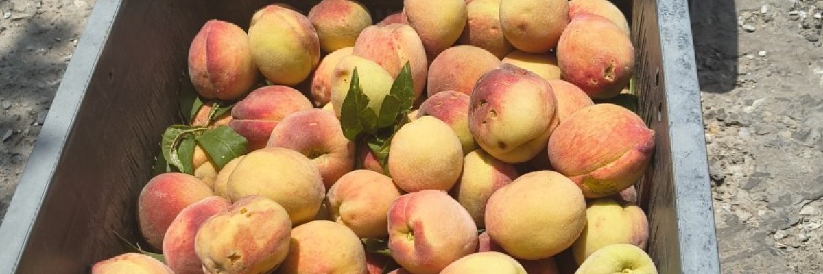 Yahvi,s med and wellness centre