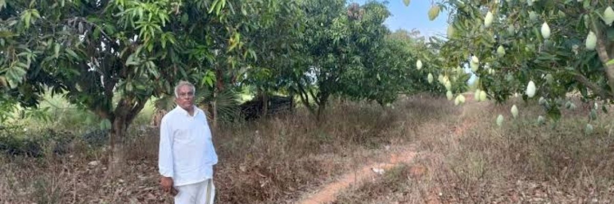 Kamaladharni enterprise