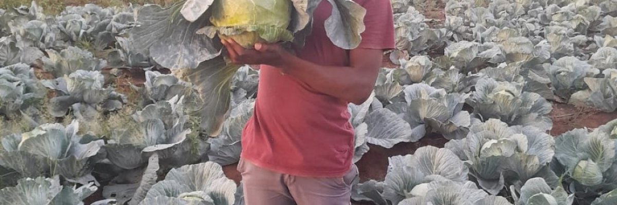 KGATOENTLE AGRI FARM