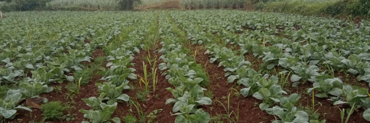 Shripruthvi enterprises