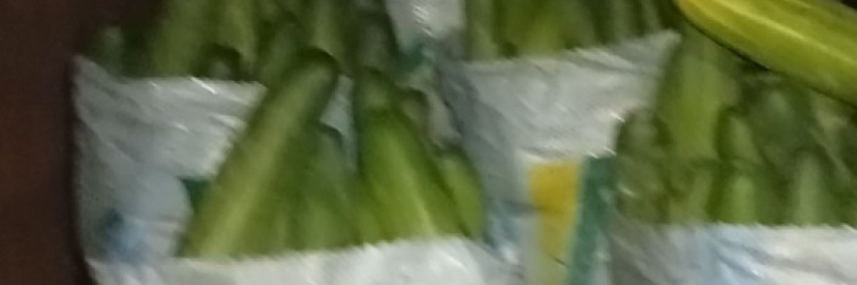 Kendo Farms and veggies plantation ltd