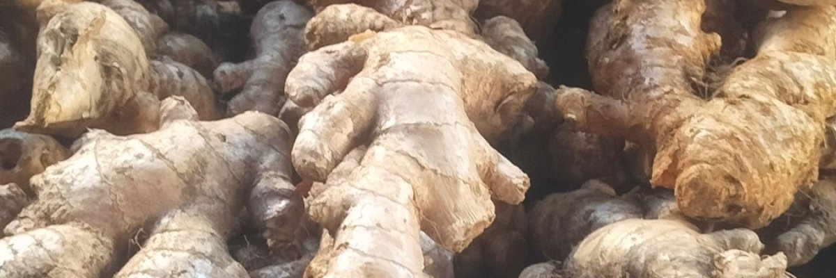 Karbi Ginger