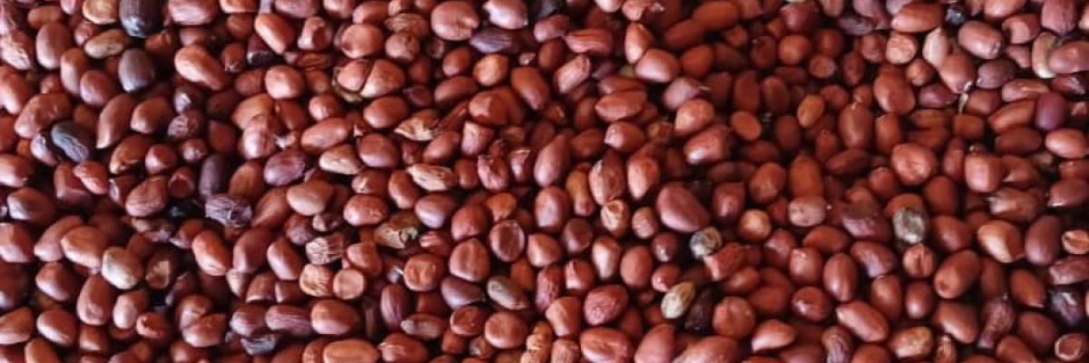 Farmbrigde investment