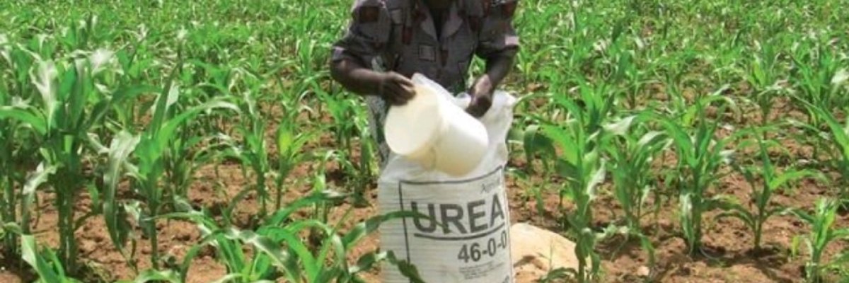 ELITE AGRO ENTERPRISE