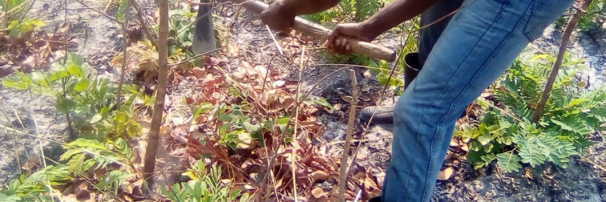 INUFO SYSTEM TRADERS