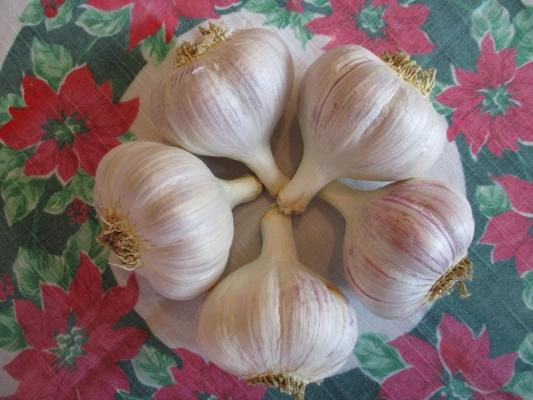 RF Garlic and Honey Farm