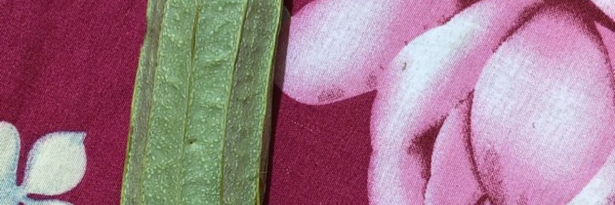 Heemanshi fruit and vegetables