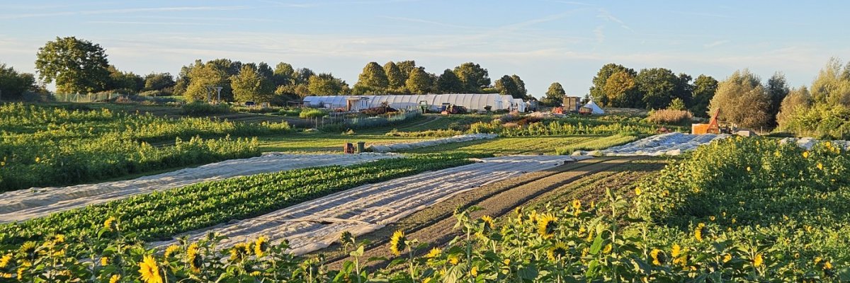 Solidarische Gemüsegärtnerei GmbH