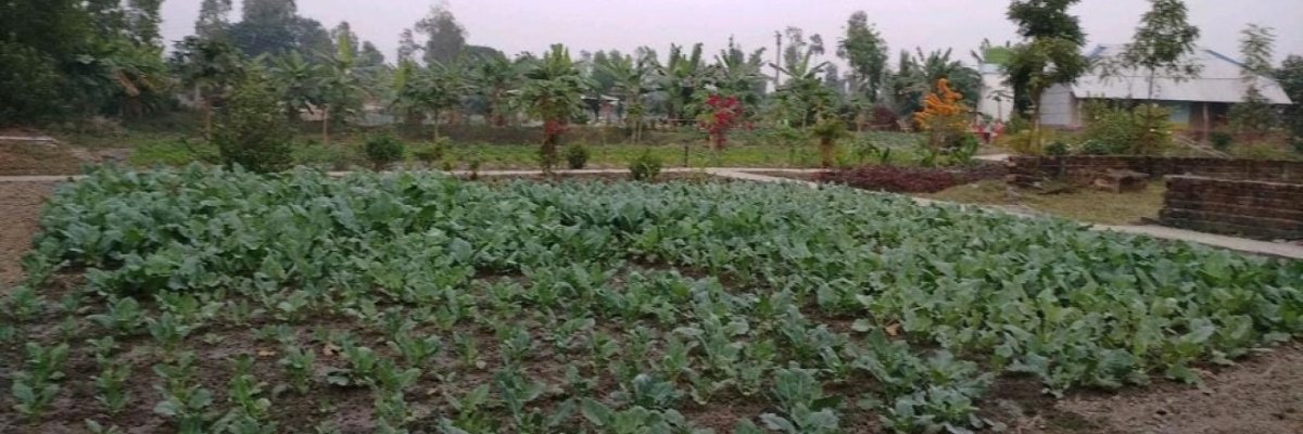 Freshtreat Agro Services