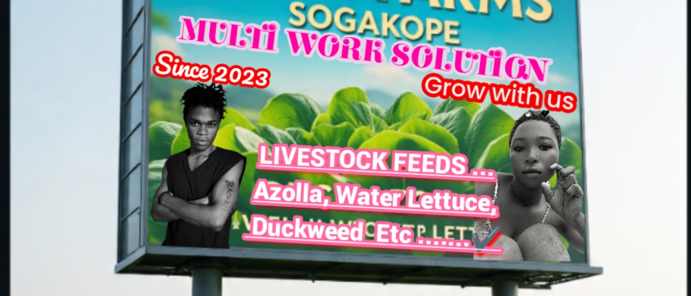Duckweed