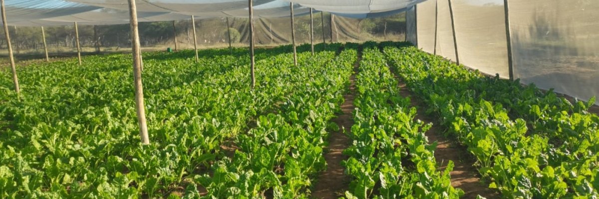 Rhenosterspruit Farm PTY LTD