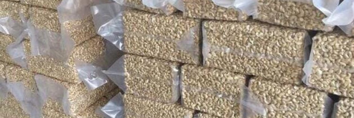 Isy great agro investment lmt