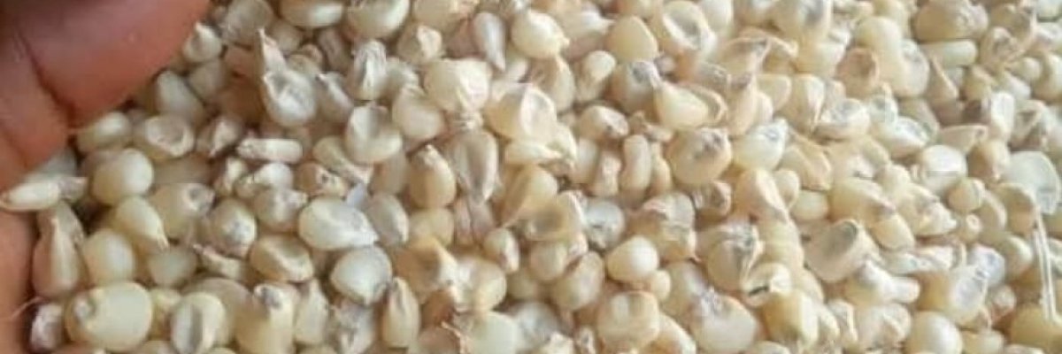 Stronghold Enterprises