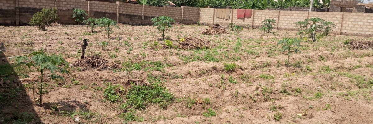 OWOBABA FARMS NIGERIA LIMITED