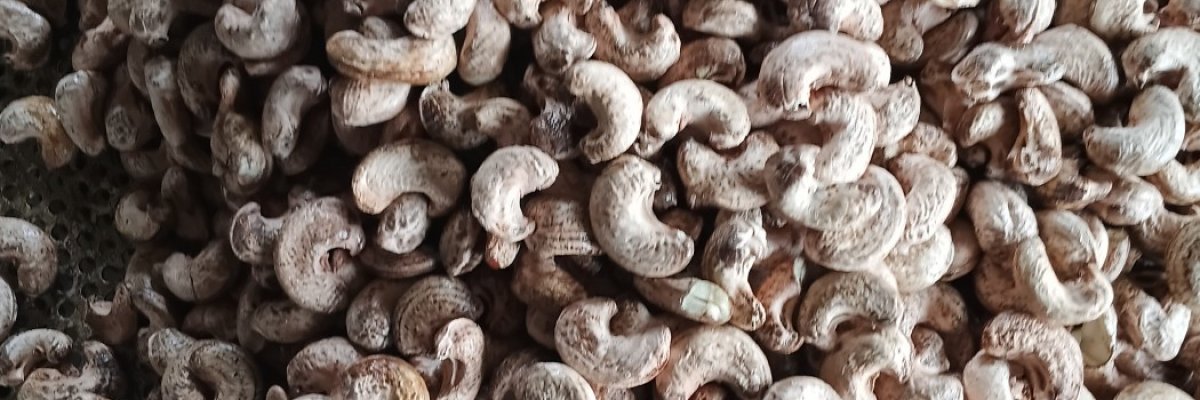 Vrishi Agro Industries Private Limited