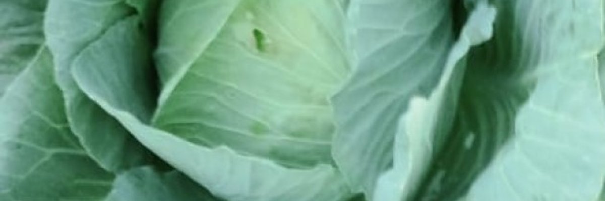 Billyrabs farming project