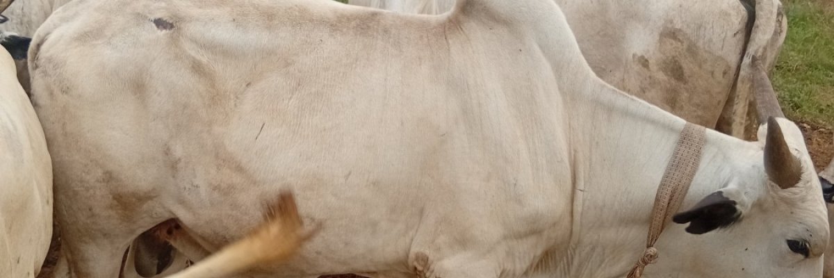 Lawson Global Resources