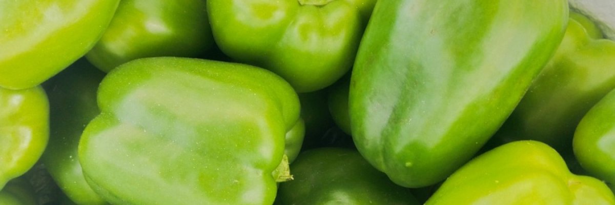 Naidu vegetables exports