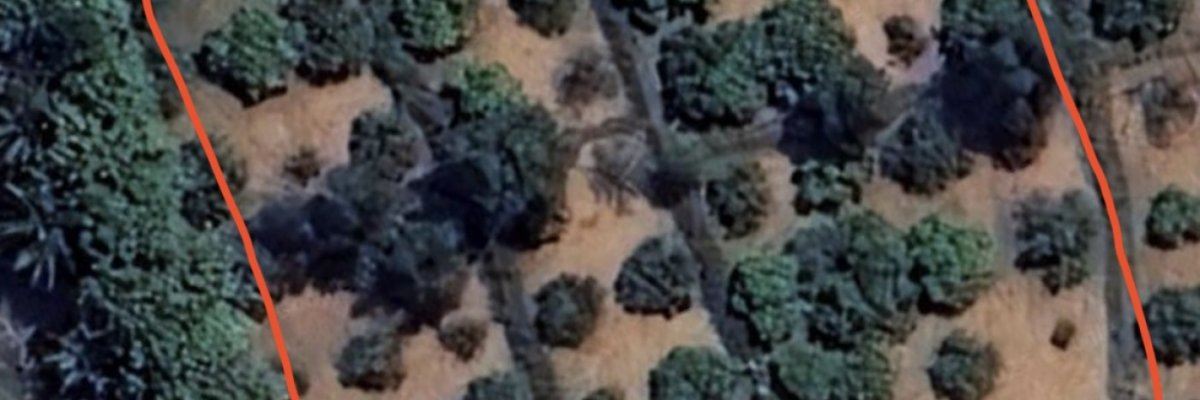 Mithun’s Mango Farm