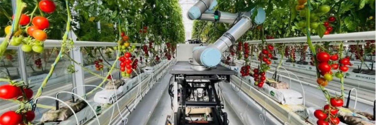 AYAGRO AGRITECH Ltd.