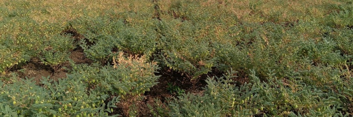 XploreAll Internet Private Limited