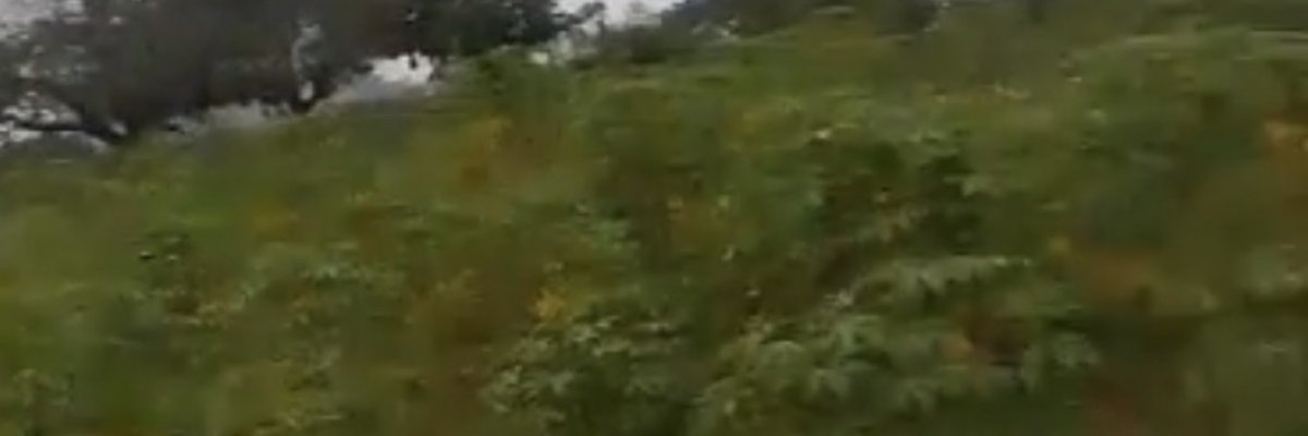 AMJ Integrated Services