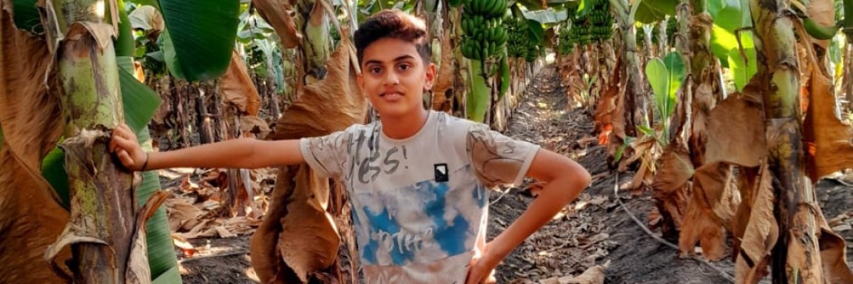 Rawal Banana Farms Maharashtra