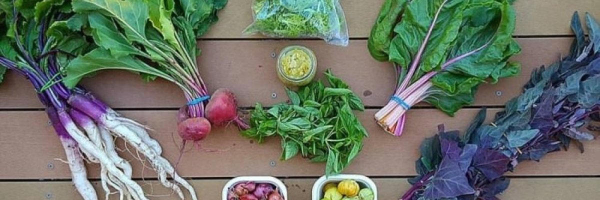 Thompson Family Farm