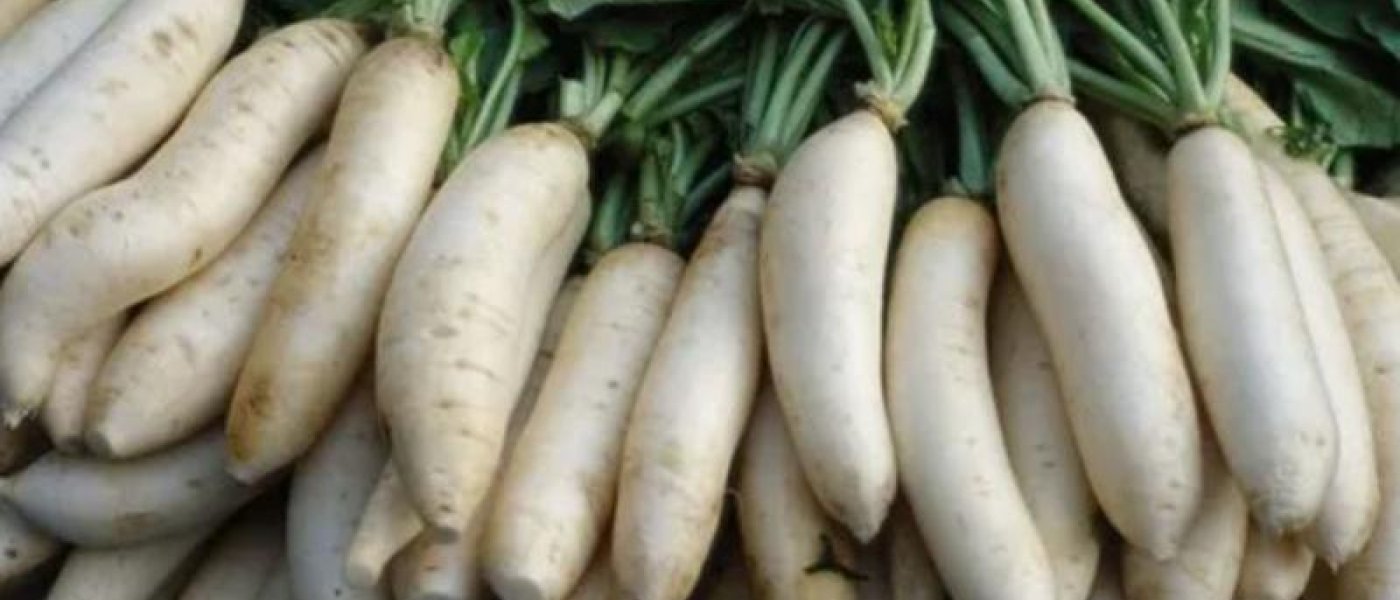 Radish of rupees 15 per kg