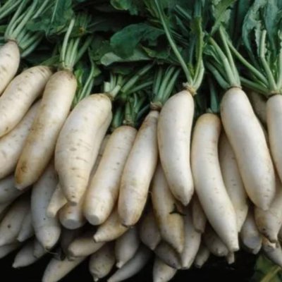 Radish of rupees 15 per kg