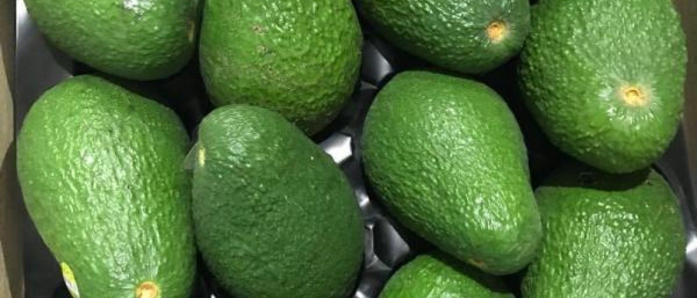 Avocado Year-round