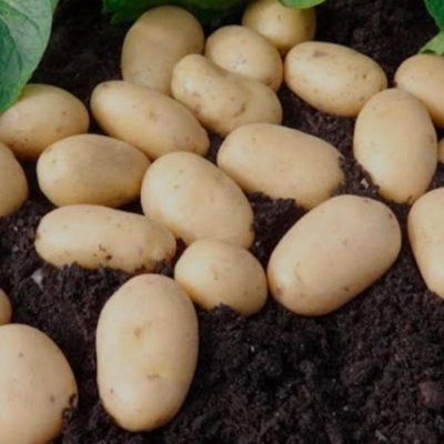 AVAILABLE NOW WHILE STOCK LAST