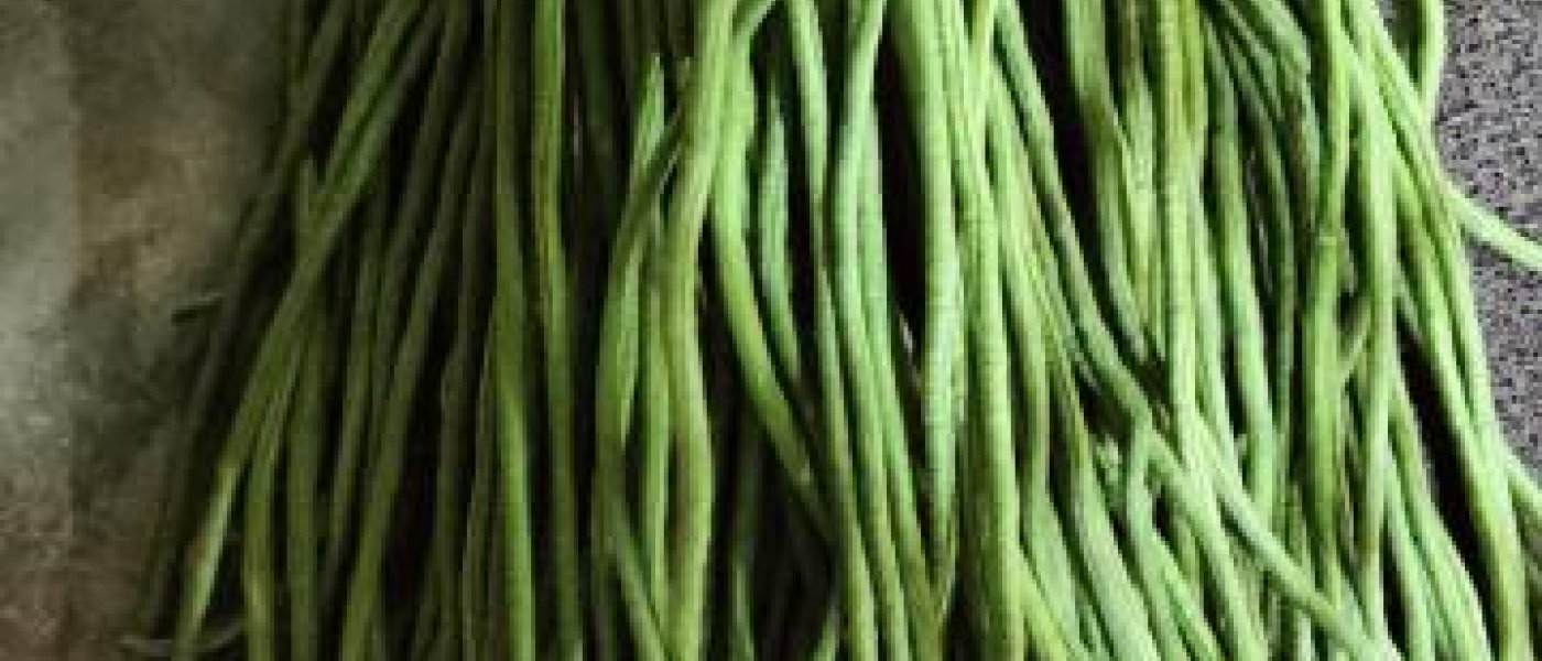 Yardlong (Asparagus) Bean Legume