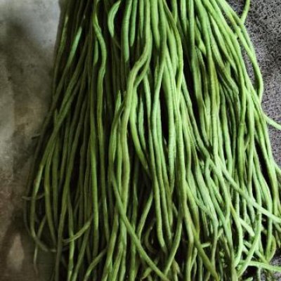 Yardlong (Asparagus) Bean Legume