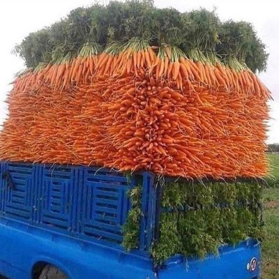 Carrots for sale