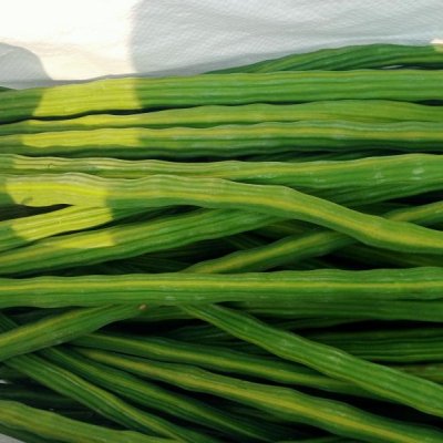 Moringa fresh awailable