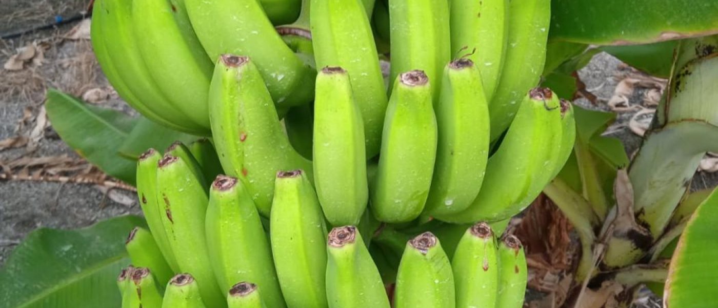 At low price i will sell